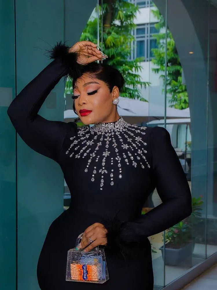 Round Collar Elegant Chic Bodycon Dress