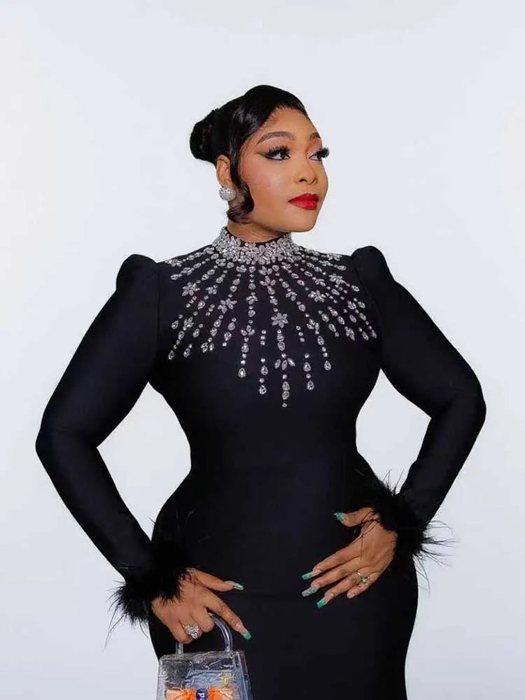 Round Collar Elegant Chic Bodycon Dress