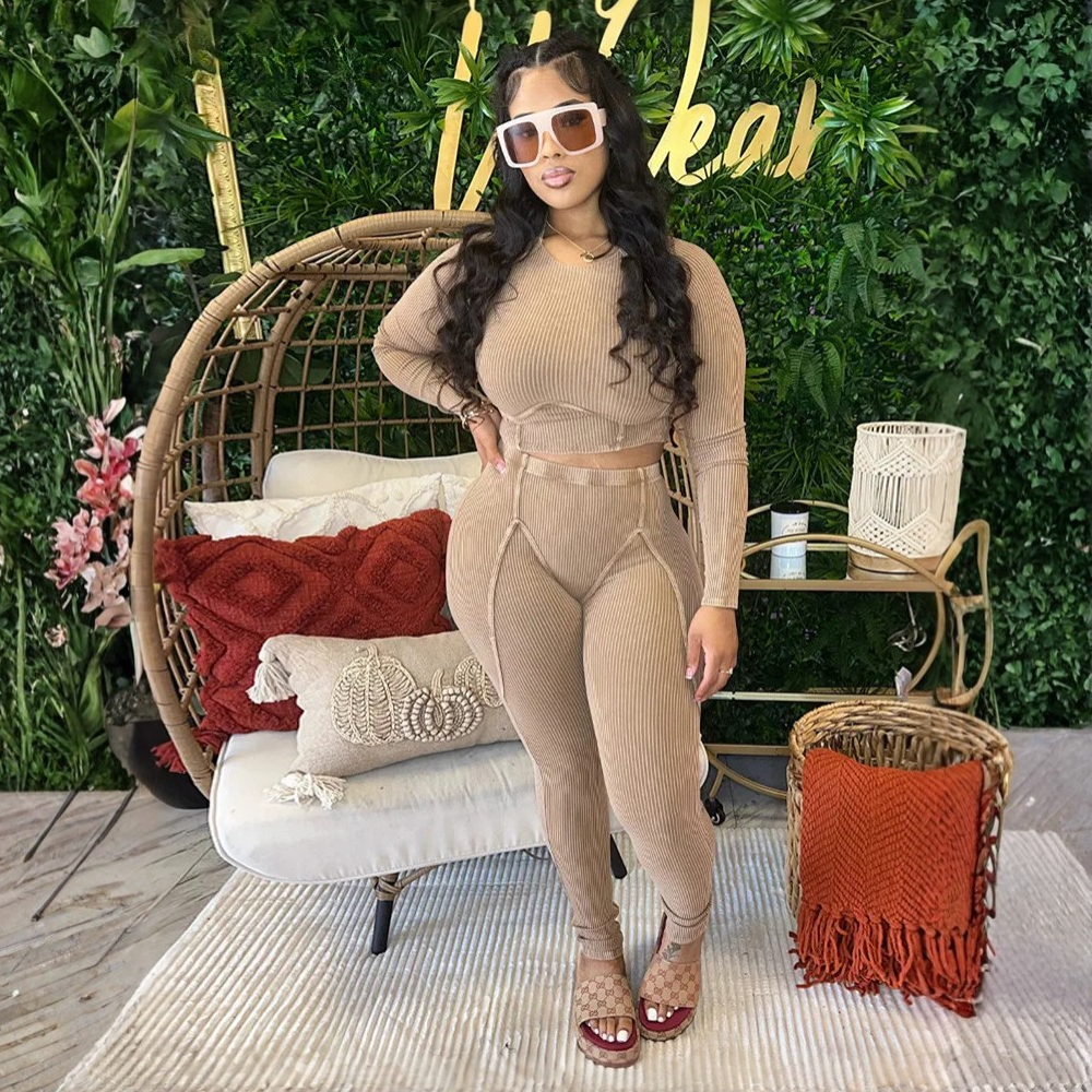 Women's  Casual Top and Pants Set